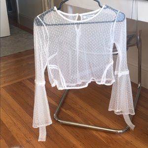 Gorgeous Cropped & Sheer Top